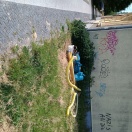 Foto: Elsässer Straße/Ecke Fruchtstraße: Müllhaufen auf der Grünfläche vor der Brandwand. 
